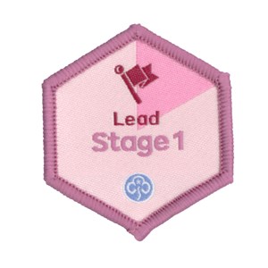 Skills for my future stage 1 lead skills builder woven badge