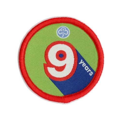 Anniversary woven badge 9 years