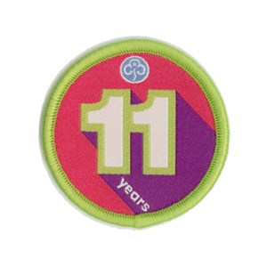 Anniversary woven badge 11 years