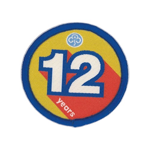 Anniversary woven badge 12 years