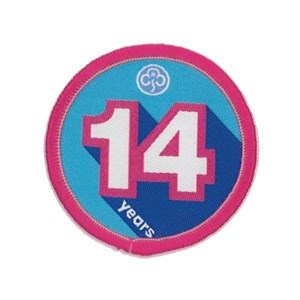 Anniversary woven badge 14 years