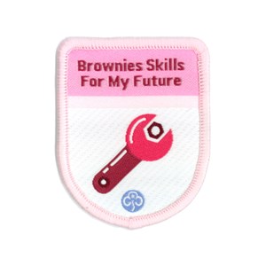 Theme award programme Brownies Skills For My Future