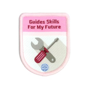 Theme award programme Guides Skills For My Future