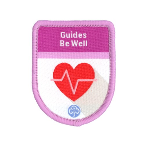 Theme award programme Guides Be Well