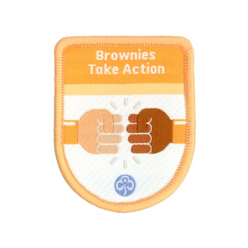 Theme award programme Brownies Take Action
