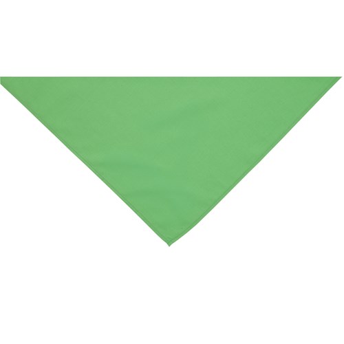Green neckerchief scarf
