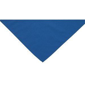 Blue neckerchief scarf