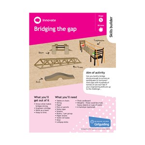 Innovate skills builder stage 5 Bridging the gap activity resource