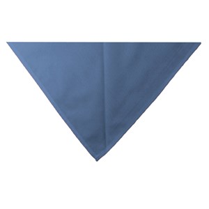 Blue neckerchief scarf
