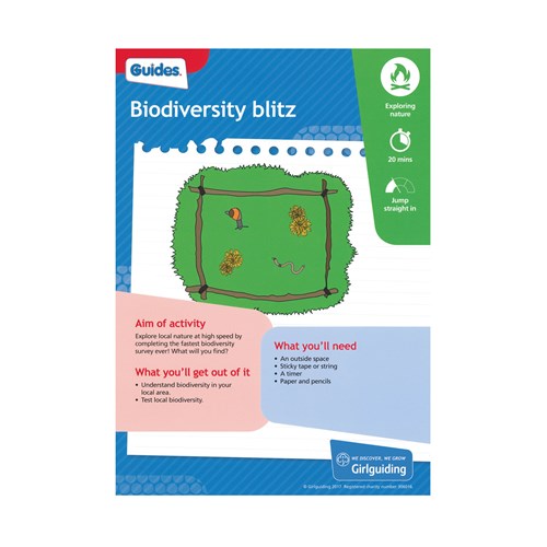 Guides Unit meeting activity Have adventures Biodiversity Blitz