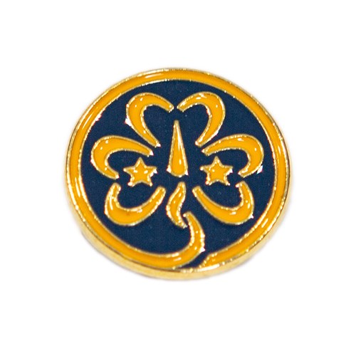 World metal badge