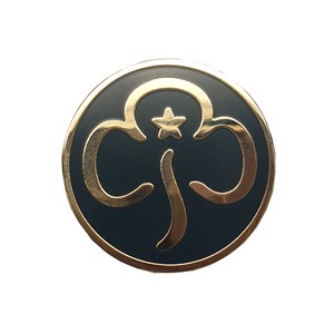 Leader Promise metal badge
