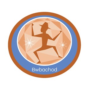 Bwbachod emblem woven badge