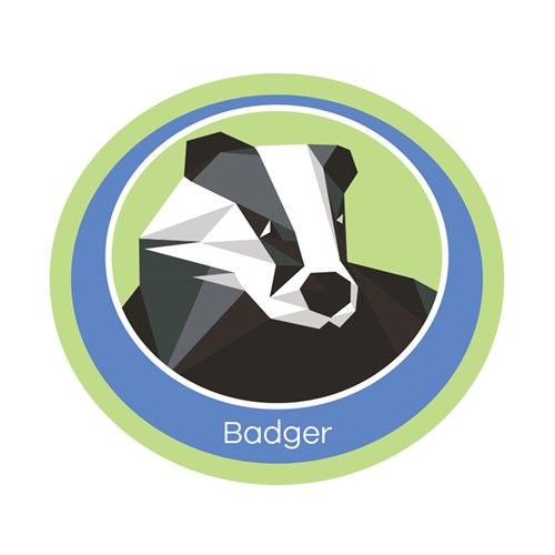 Badger emblem woven badge