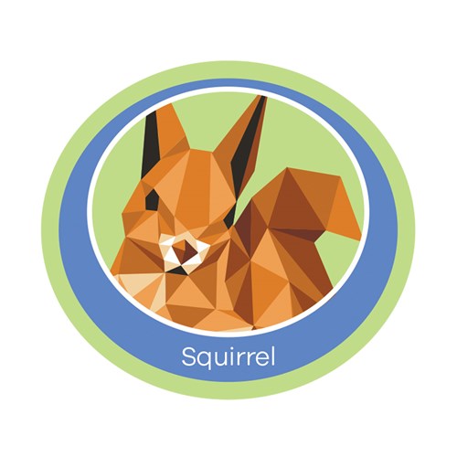 Squirrel emblem woven badge
