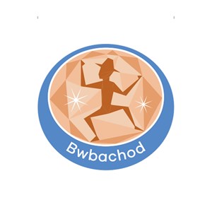 Bwbachod emblem metal badge