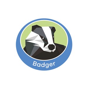 Badger emblem metal badge