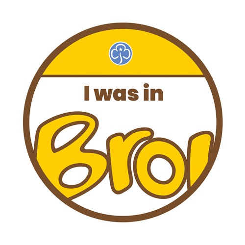 I was in Brownies woven badge