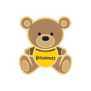 Brownies teddy wearing T-shirt pin badge 