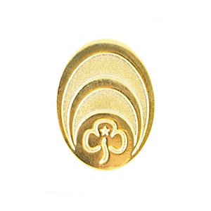 County commissioner badge - gold colour