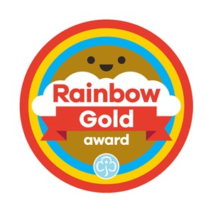 Gold award - Rainbows woven badge