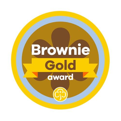Gold award - Brownies woven badge