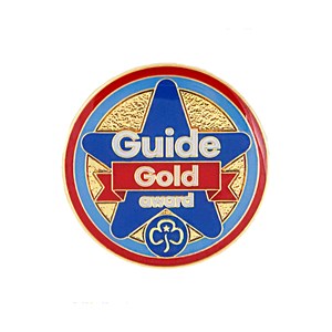 Gold award - Guides metal badge