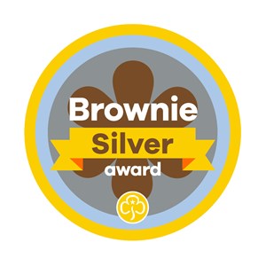 Silver award - Brownies woven badge