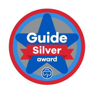 Silver award - Guides woven badge