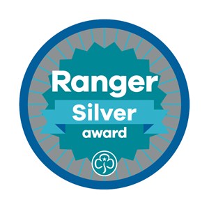 Silver award - Rangers woven badge