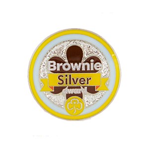 Silver award - Brownies metal badge