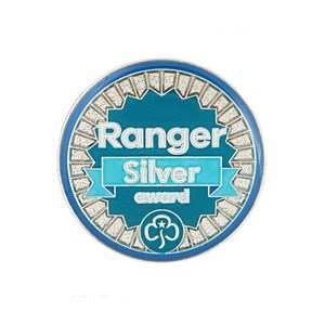 Silver award - Rangers metal badge