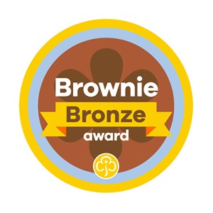 Bronze award - Brownies woven badge