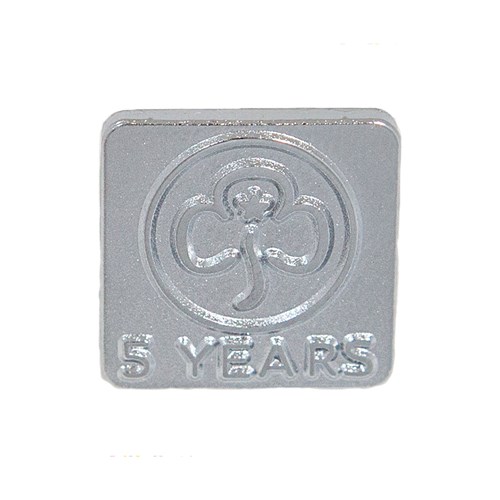 5 year service metal badge