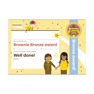 Brownies bronze award certificate