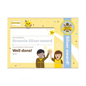 Brownies silver award certificate