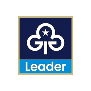 Leadership development programme metal badge