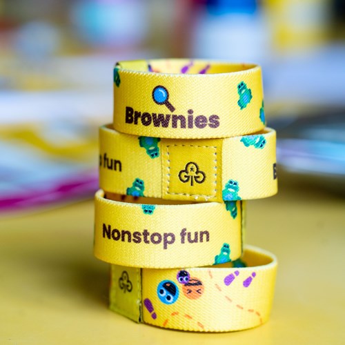 Stack of 4 Brownie wristbands