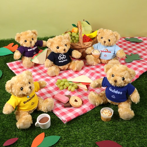 Teddy bear picnic 